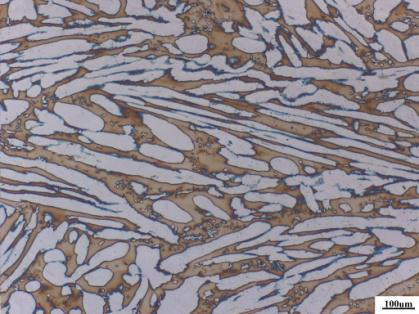 Microscopic Metallographic Analysis