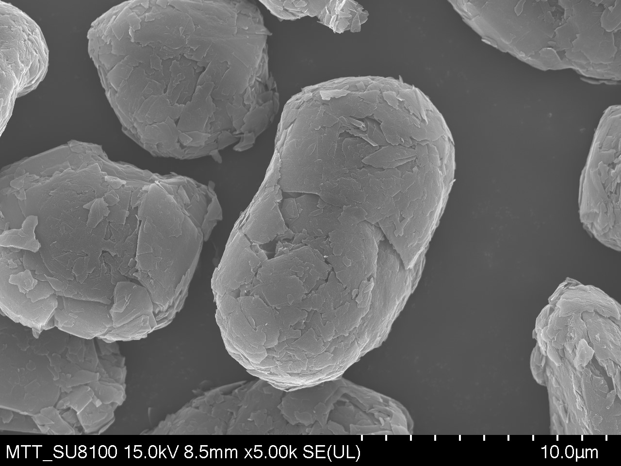 Scanning Electron Microscopy